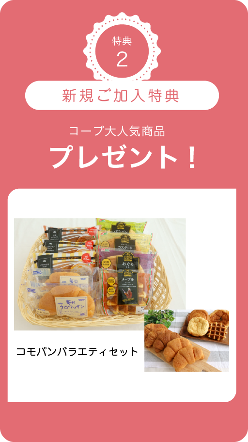 人気商品3点セットプレゼント