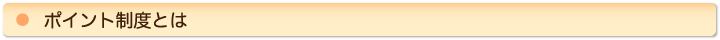 ポイント制度とは